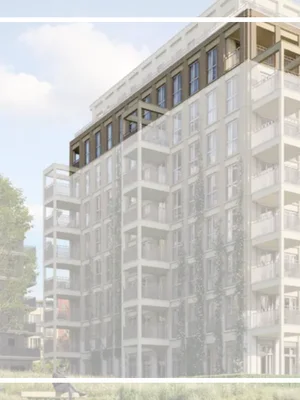 Willow III Terrace: royaal buiten wonen op de bovenste verdieping