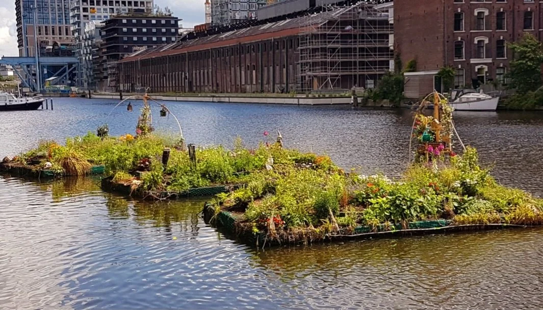 Plan voor drijvende tuinen in Holland Park