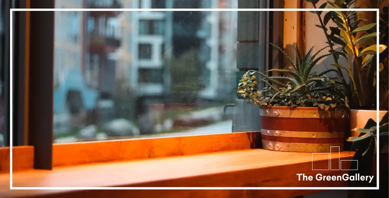 Inloopavond: stel je vragen over The Green Gallery